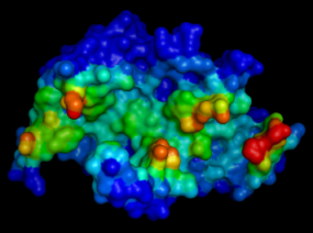 doc/img/tutorial1_pymol2.png