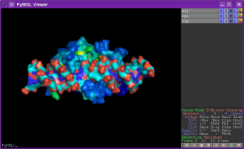 doc/img/tutorial1_pymol3.png