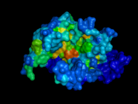 doc/img/tutorial1_pymol4.png